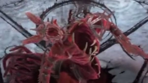 ​Diablo 4 Season 14: Where to Find Summon Ae'grom on the Warlock Skill Tree - Complete Location Guid