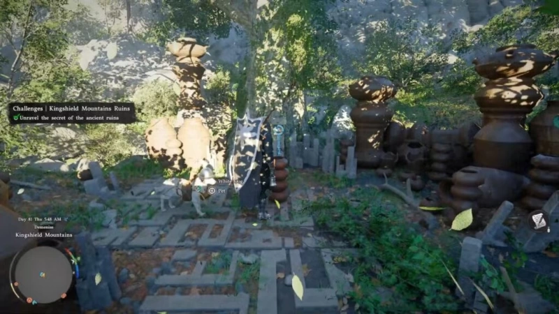 Crimson Desert Kingshield Mountain Puzzle - Exact Solution Guide